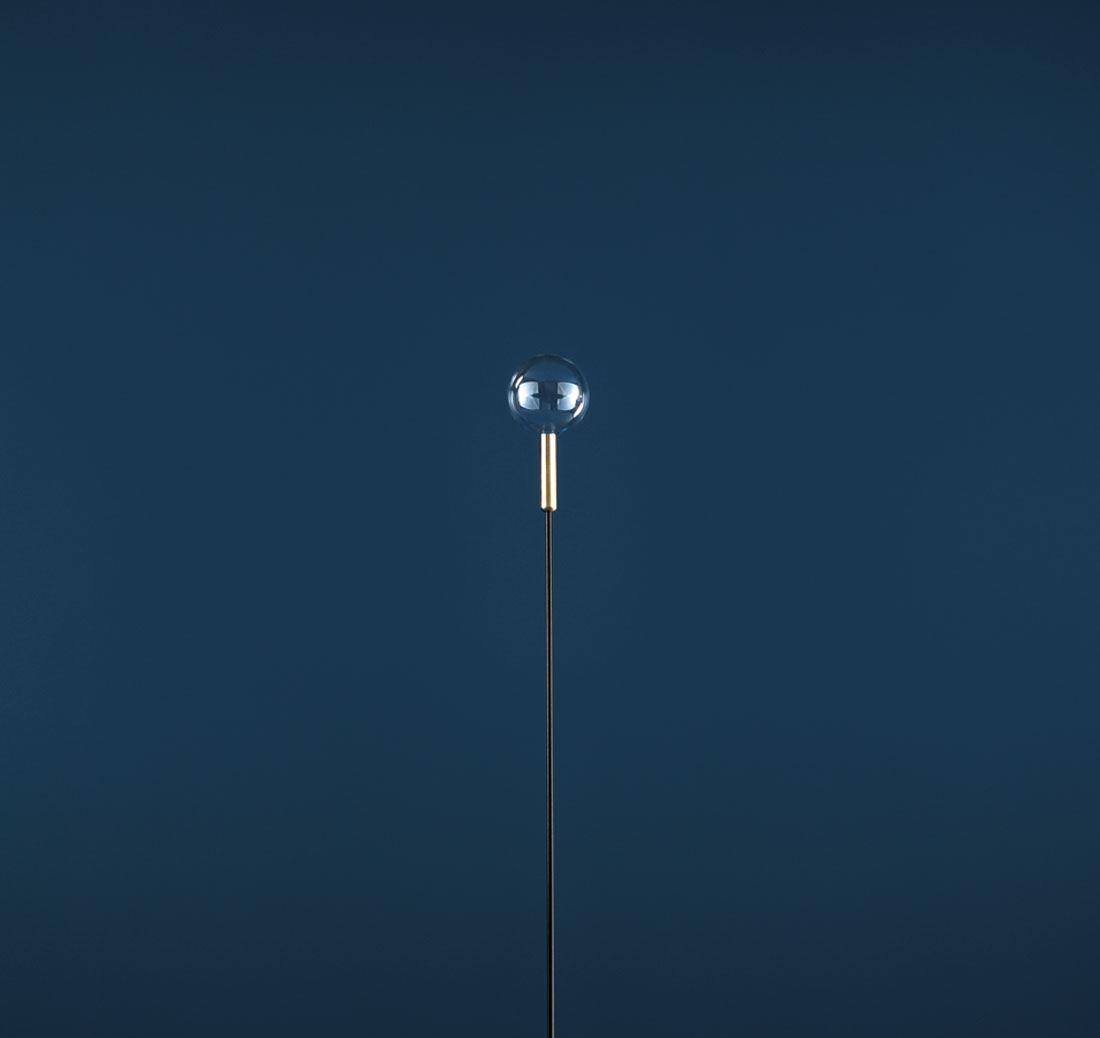 Syphasfera