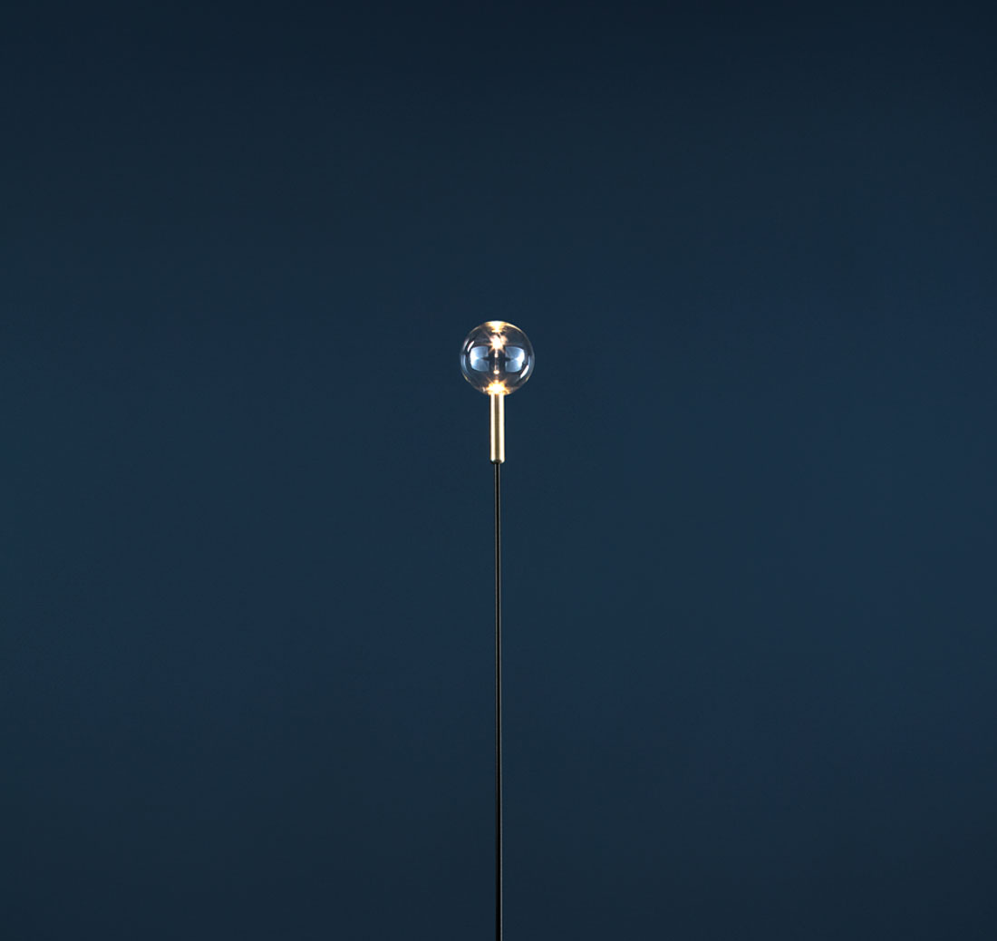 Syphasfera