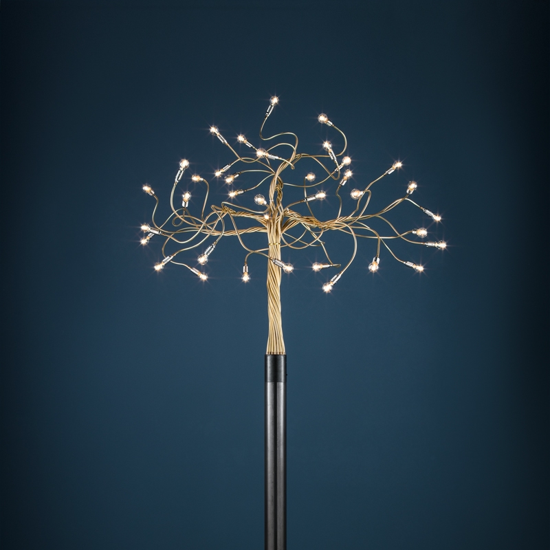 Albero della Luce