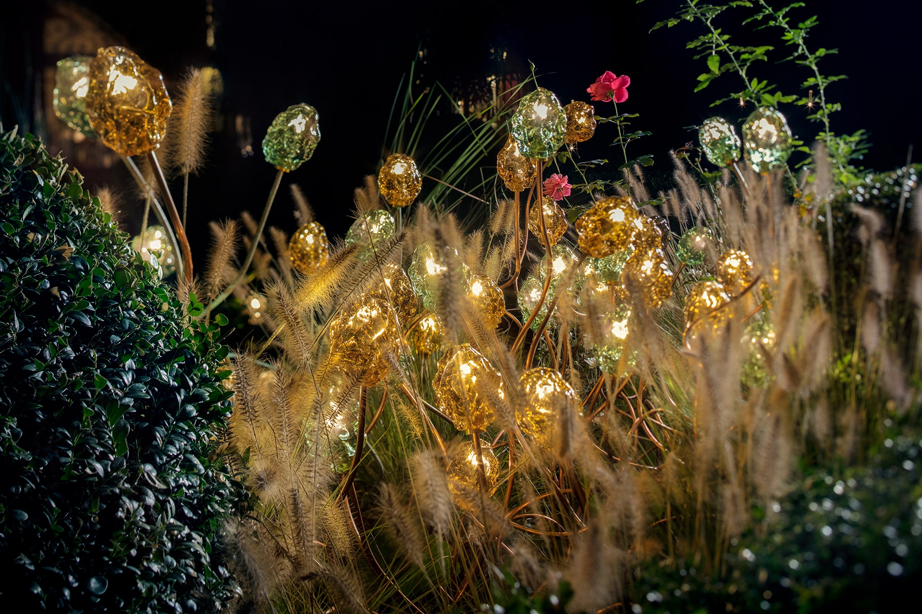 A new garden of light and sound