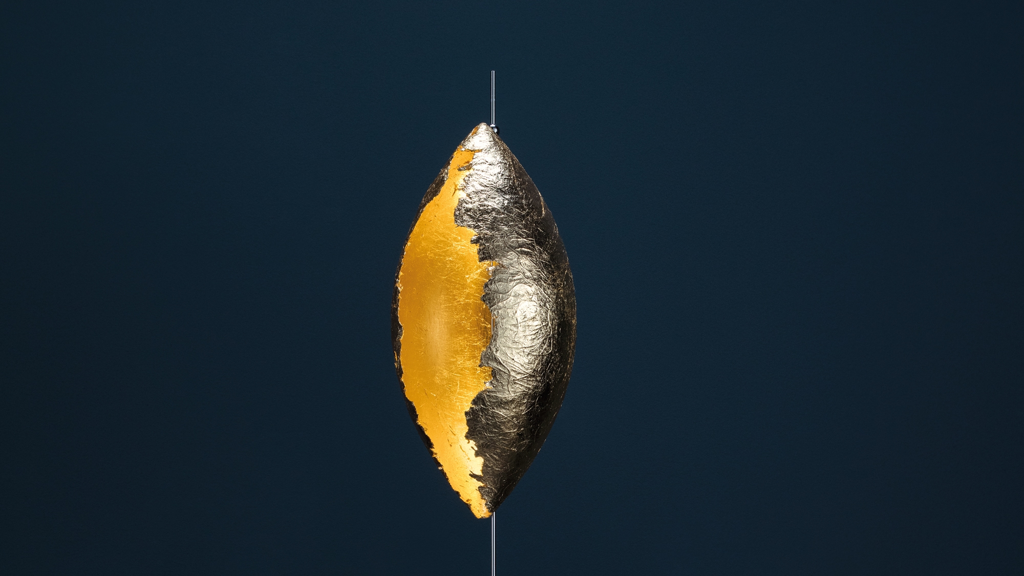 Malagolina