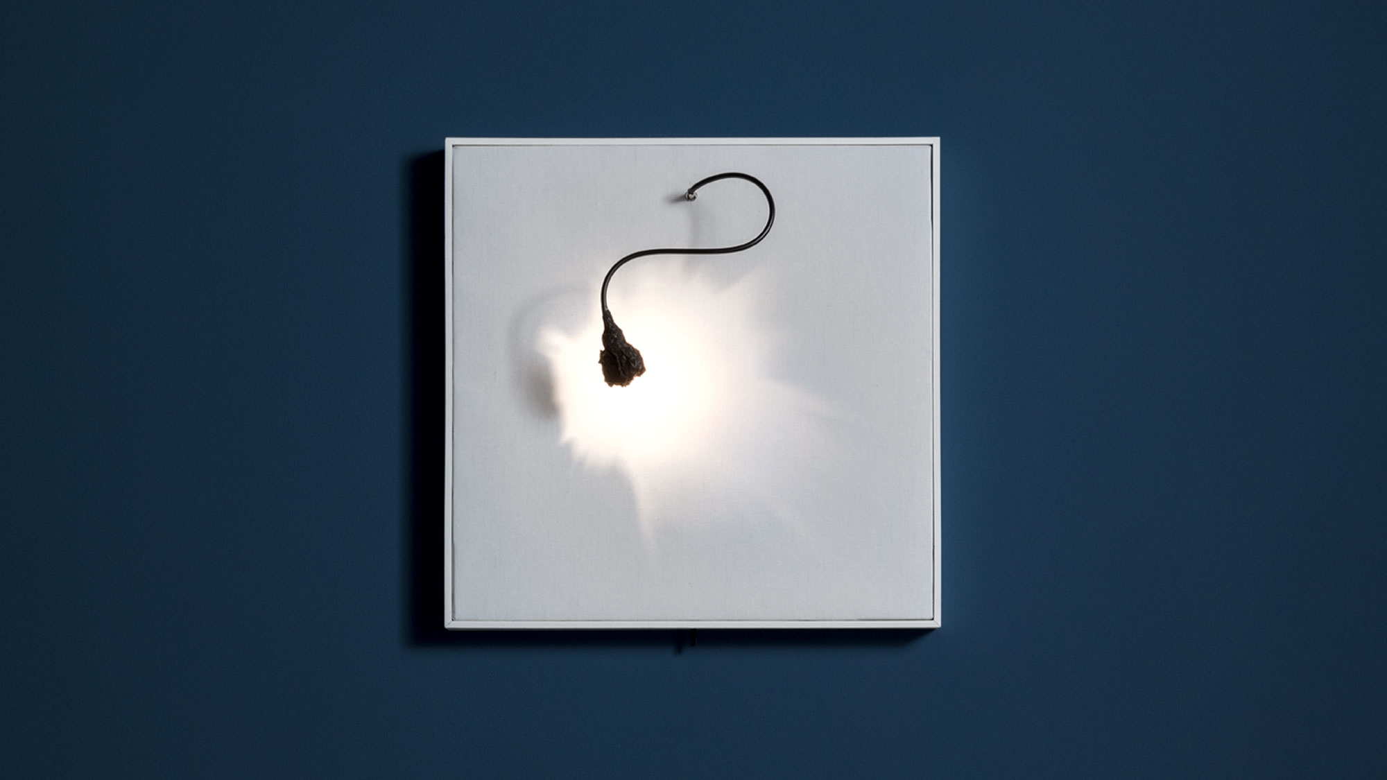 Luce che dipinge