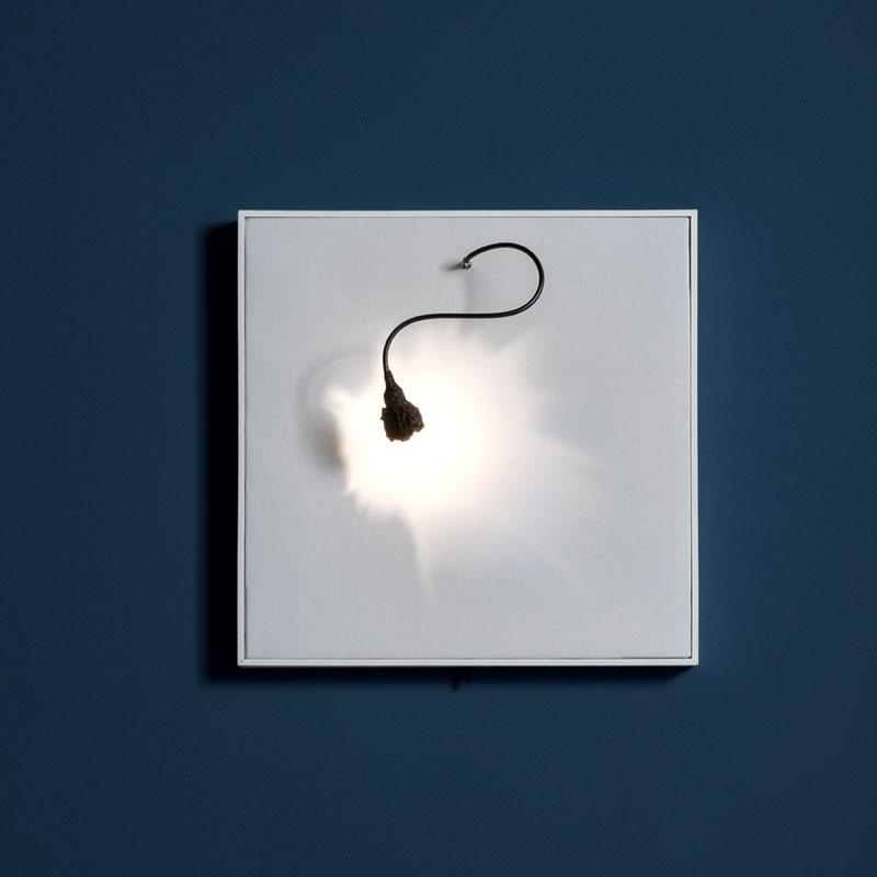 Luce che dipinge