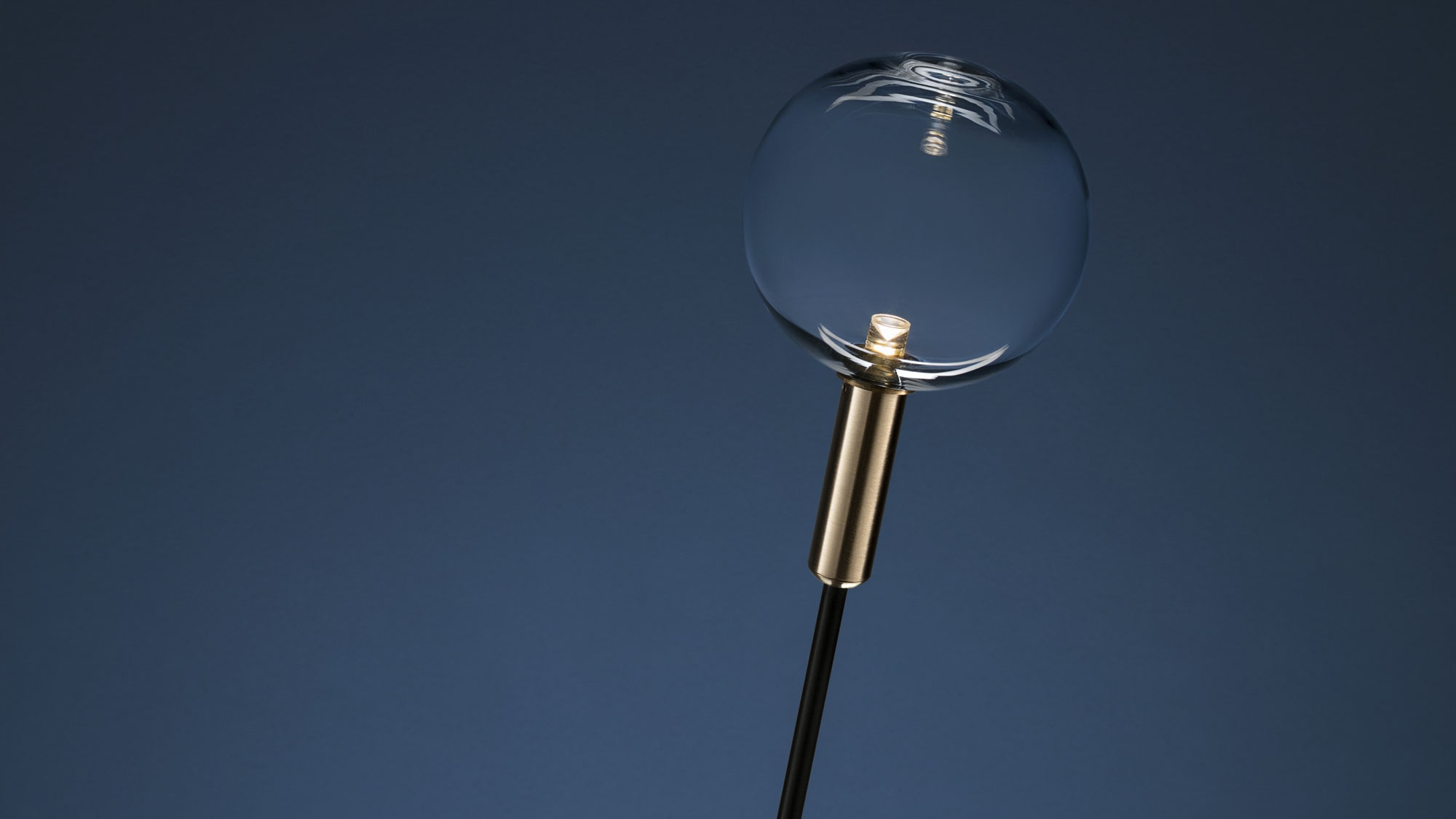 Syphasfera