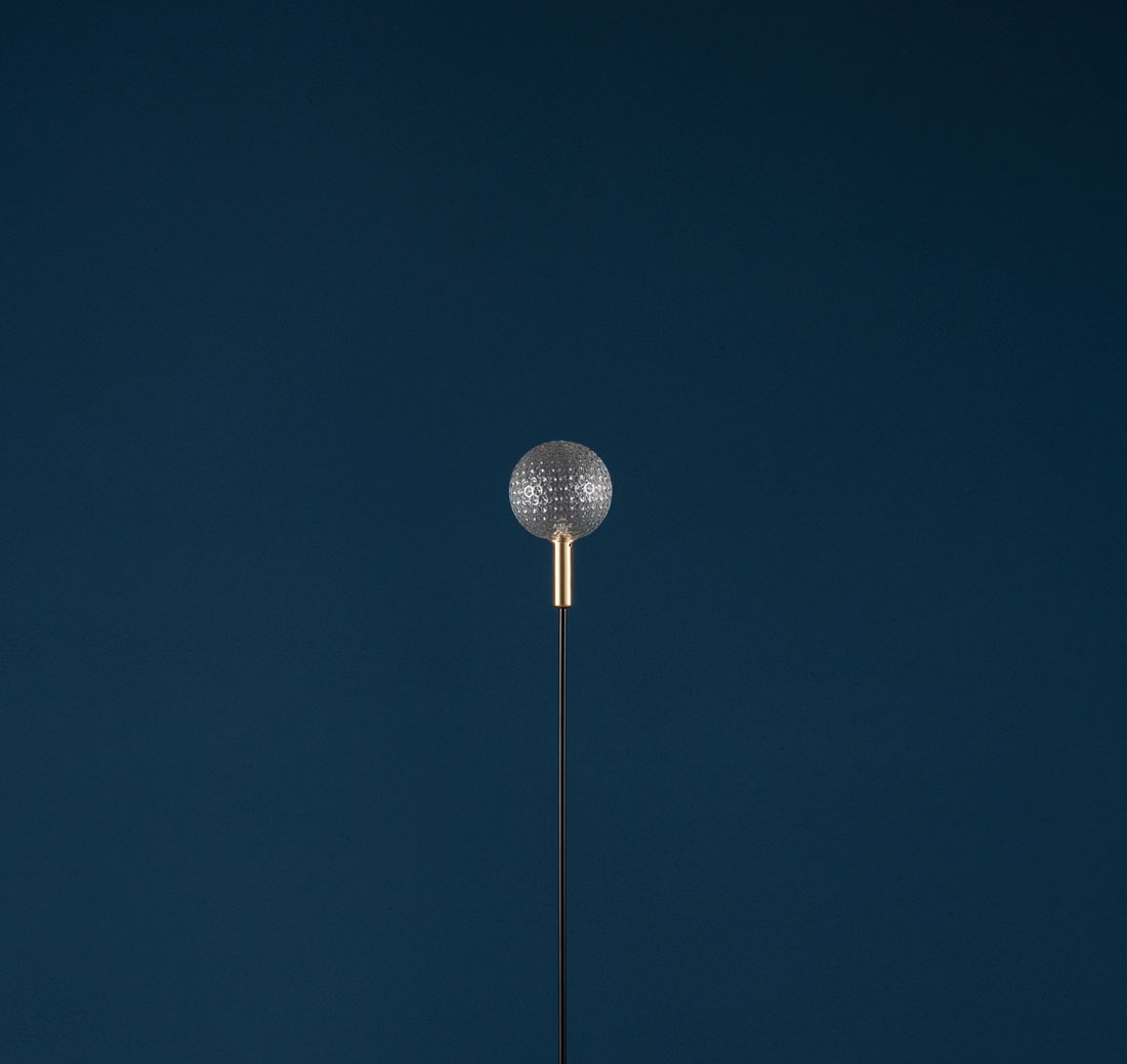 Syphasfera