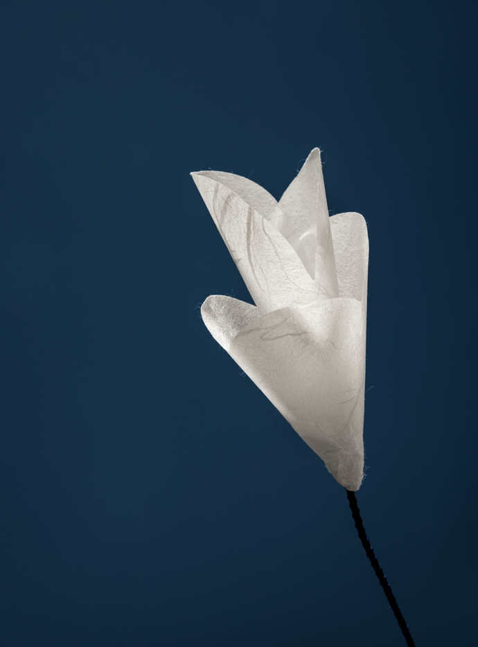 For You