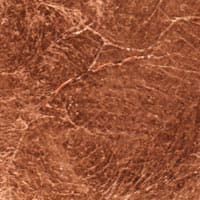Lederam W - foglia color rame