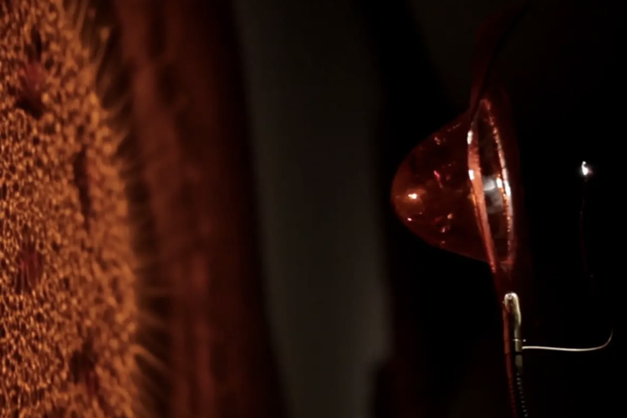 Hallucination, Enzo Catellani