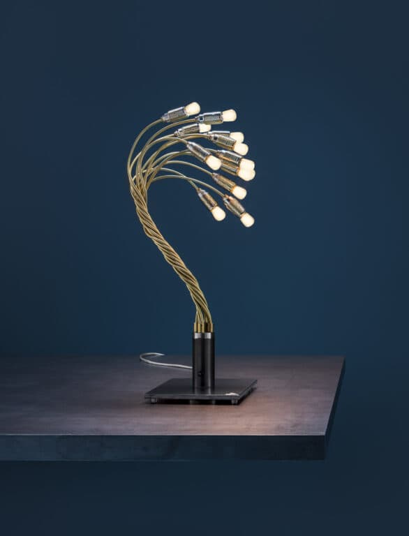 Bonsai