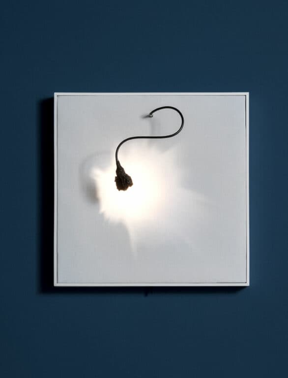 Luce che dipinge