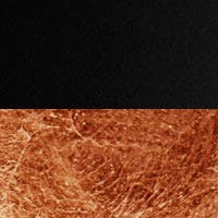Lederam Manta S2 - negro / lámina color cobre