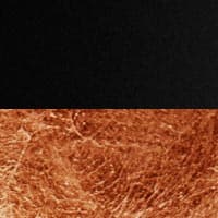 Lederam C150 - black / copper coloured leaf