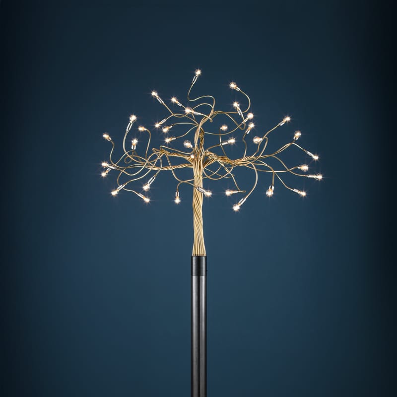Albero della Luce