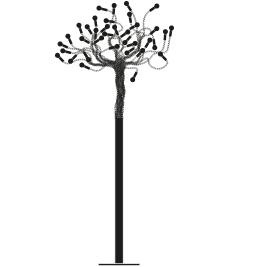 turciu albero catellani smith