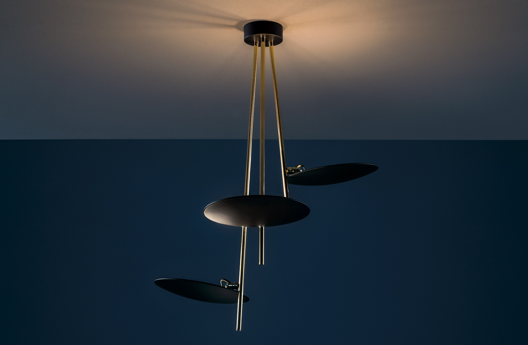 img-dettaglio-lederam-c3