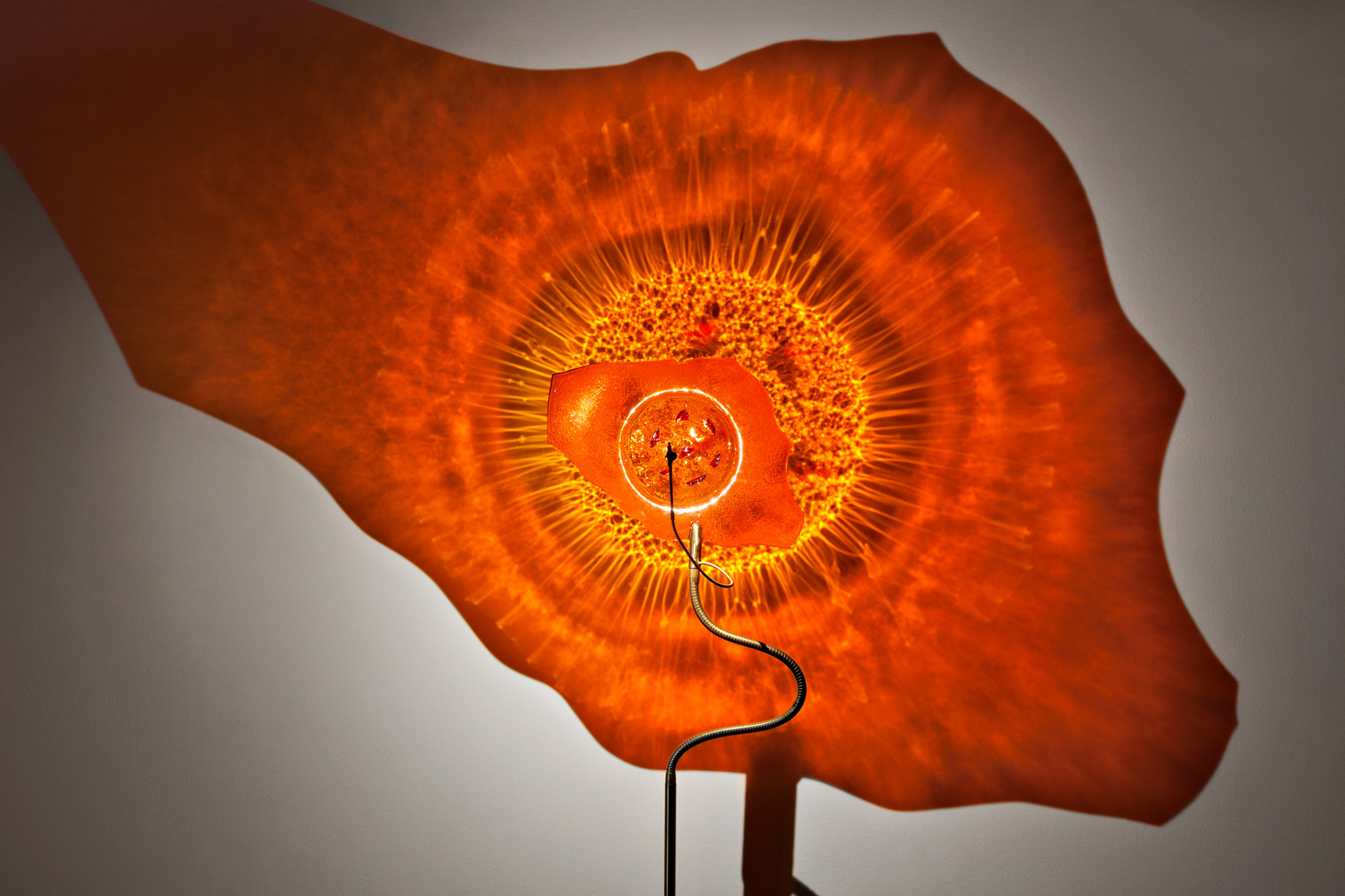 lampada artigianale catellani