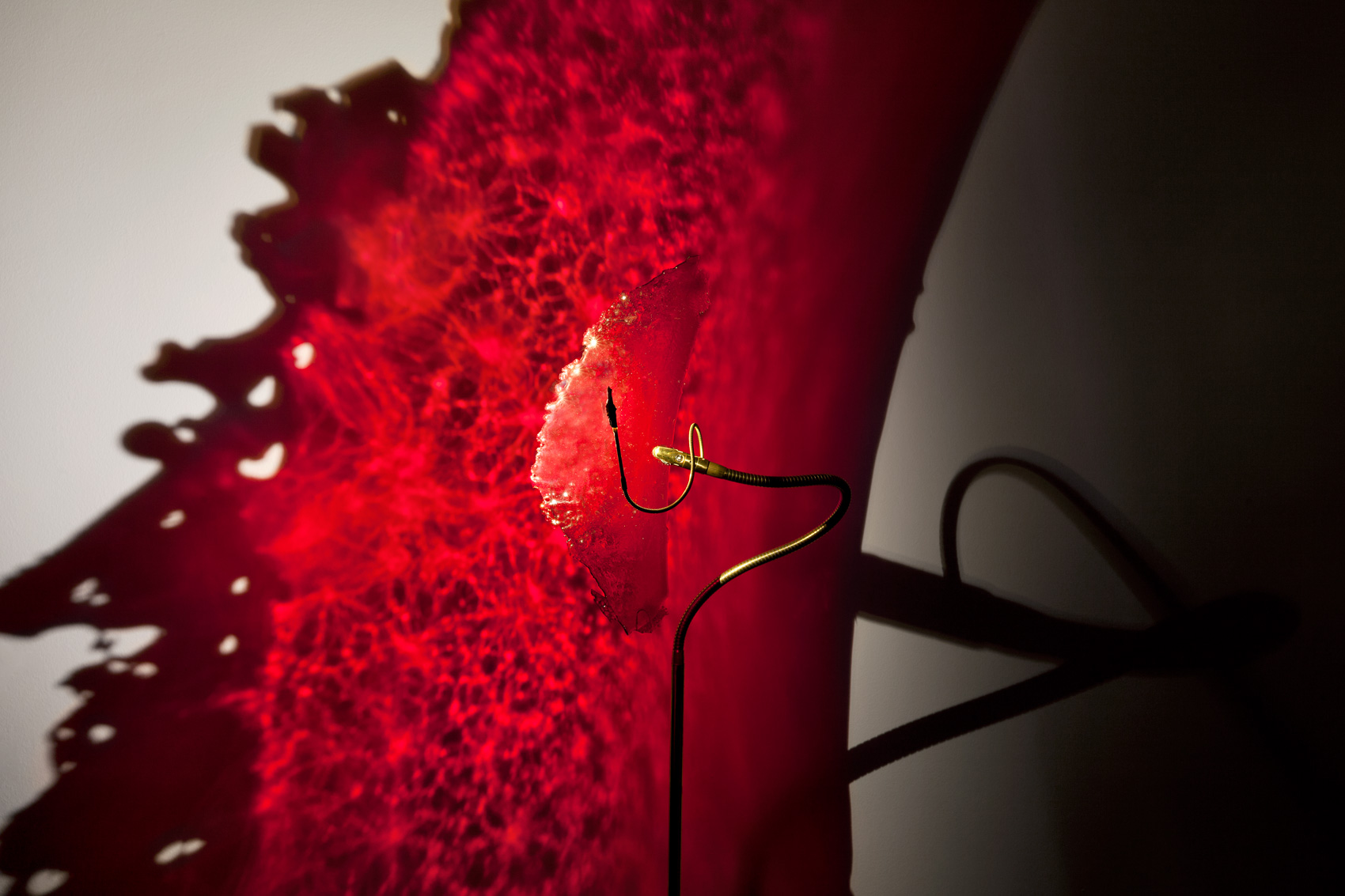 progetto hallucinations catellani