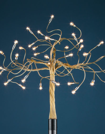 Ap-Albero-della-Luce