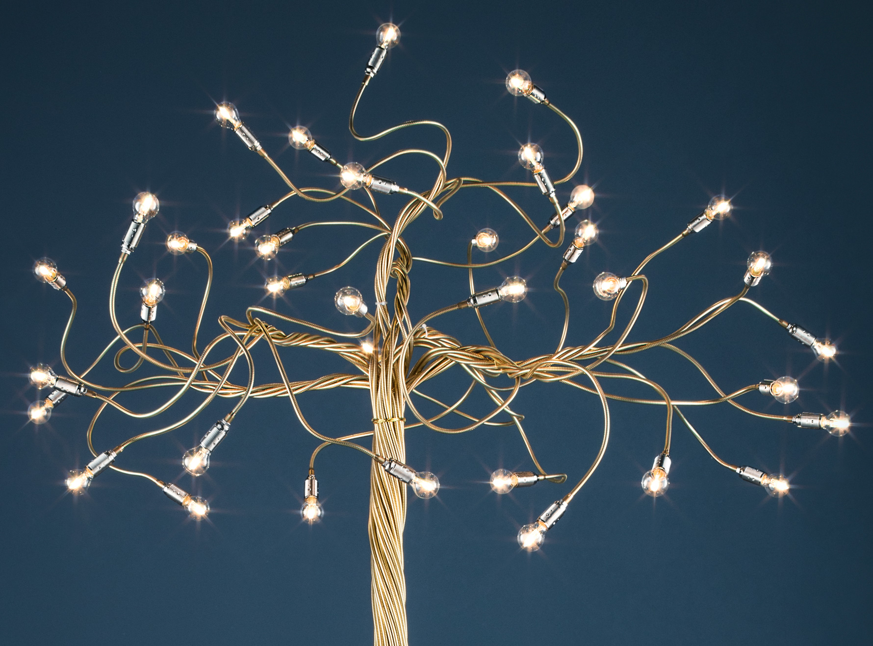 Img-Albero-della-Luce-zoom