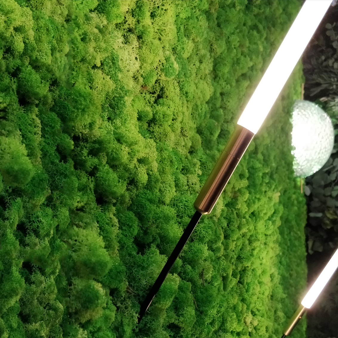 progetti illuminazione interni