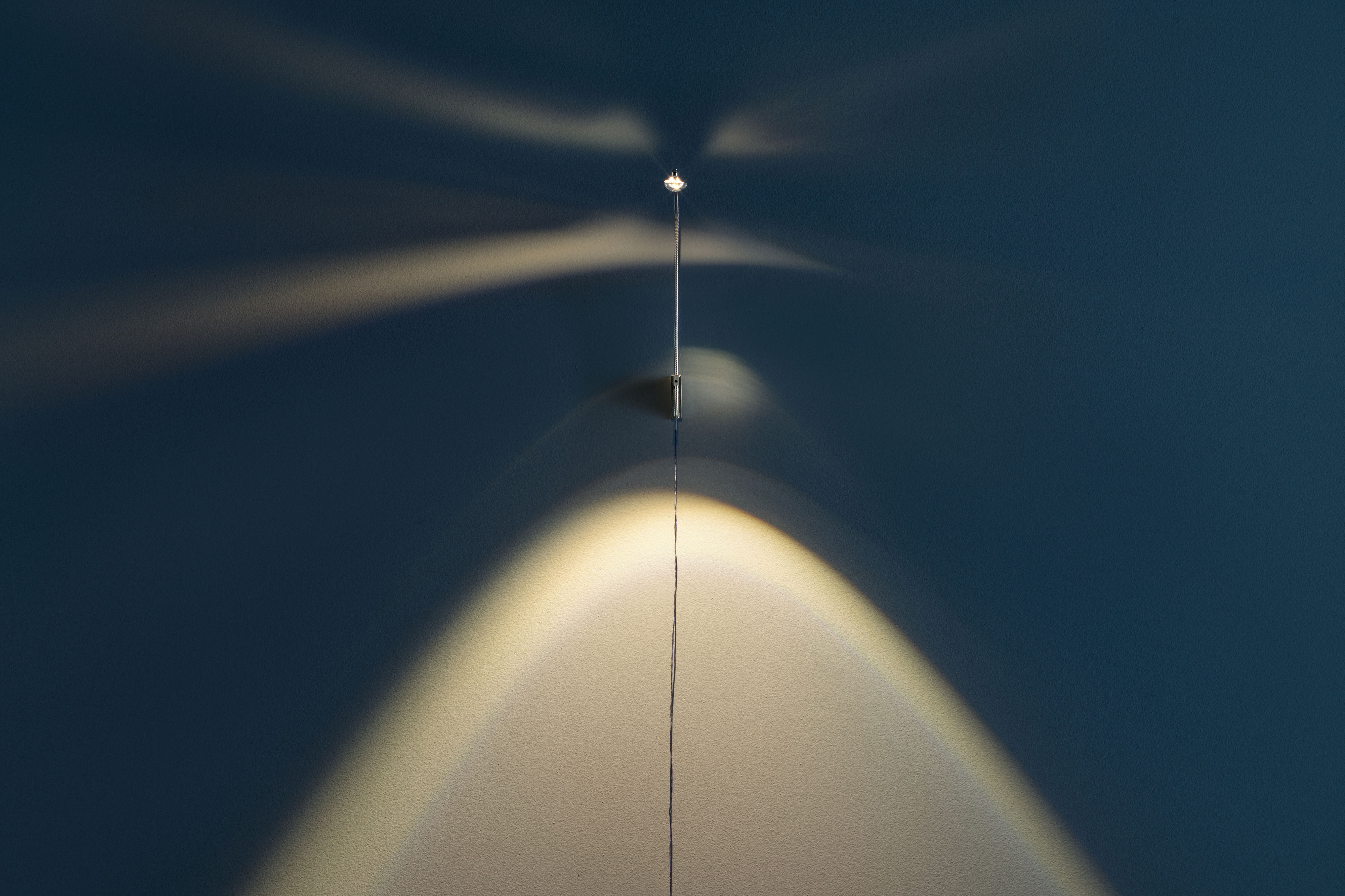 Catellani&Smith: Wa W
