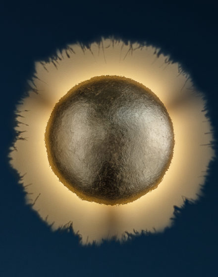 progetti illuminazione interni