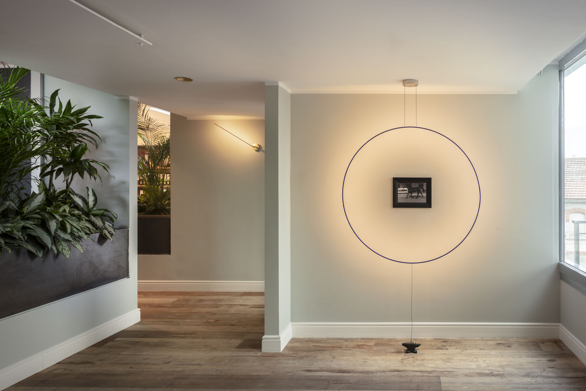 lampade design